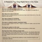 Healing Cream for Dogs with Dry, Irritated & Itchy Skin | Fast-Absorbing Pet Skin Relief | 2 oz - Image 9