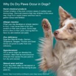 Healing Cream for Dogs with Dry, Irritated & Itchy Skin | Fast-Absorbing Pet Skin Relief | 2 oz - Image 10